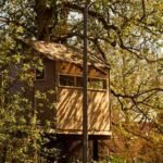 Bijzonder overnachten in een boomhut in Nederland