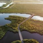 Overnachten in de Biesbosch